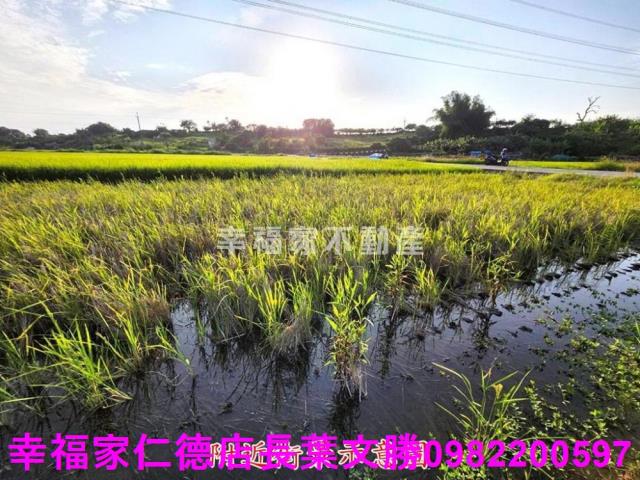 台南農地-4