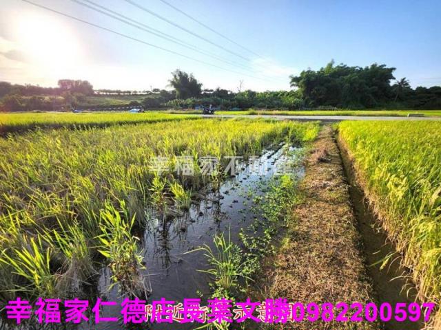 台南農地-5