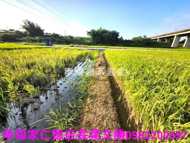 台南農地-7