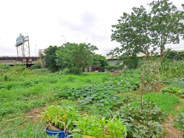 桃園法拍農地-4