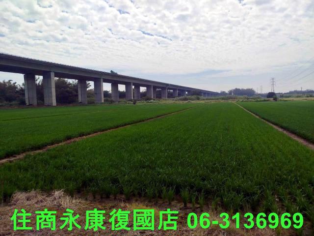 台南官田農地-10