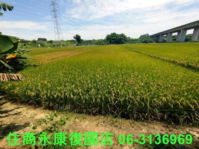 台南官田農地-2