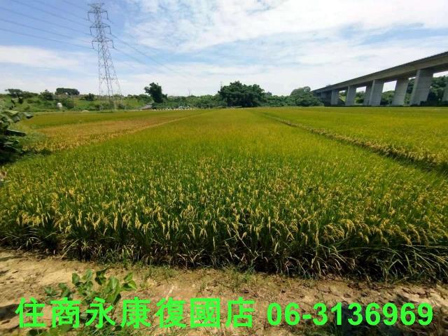 台南官田農地-1