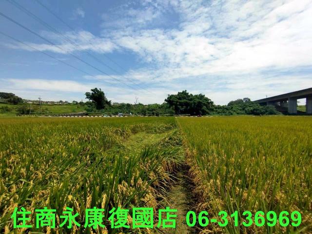 台南官田農地-3