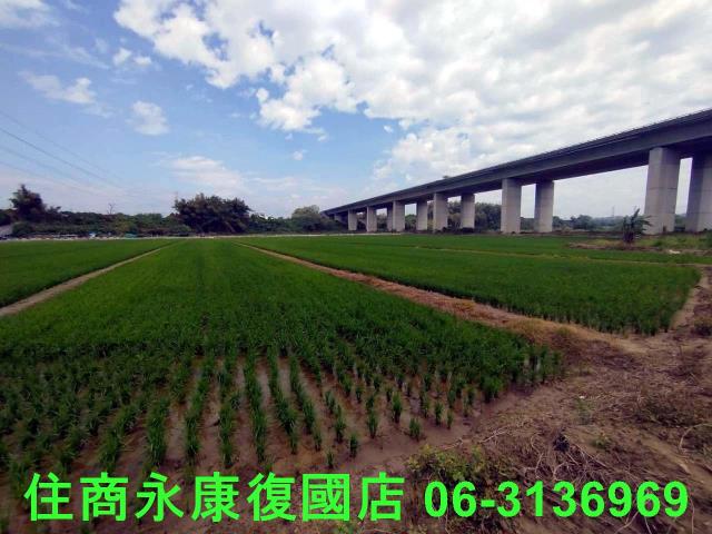 台南官田農地-5
