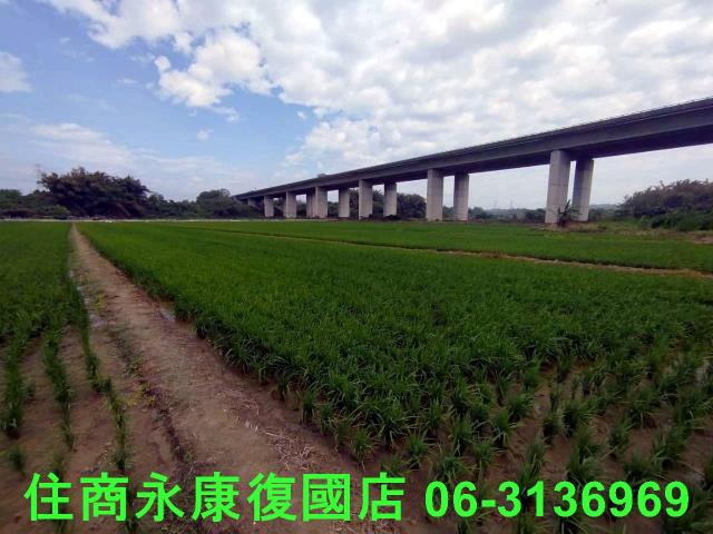 台南官田農地-6