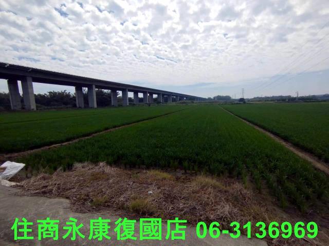 台南官田農地-7