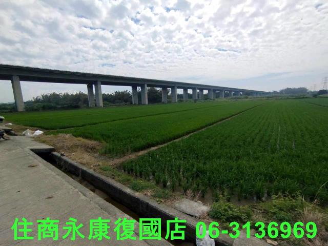 台南官田農地-8