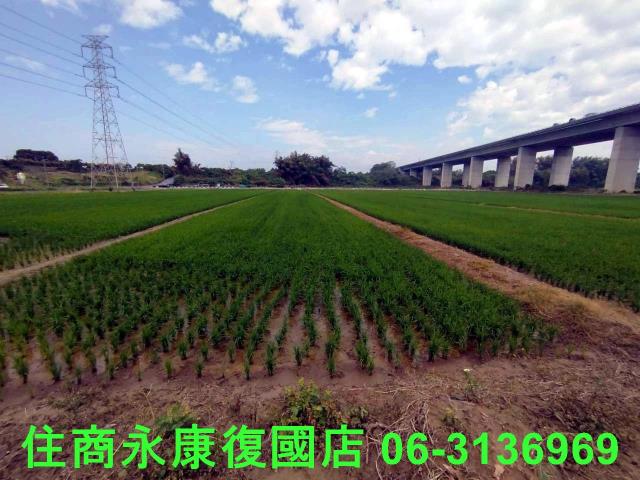 台南官田農地-9