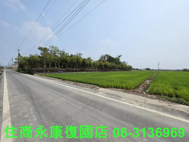 台南六甲農地-11