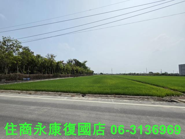台南六甲農地-12