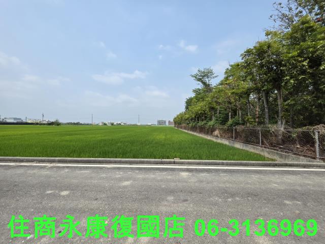 台南六甲農地-5
