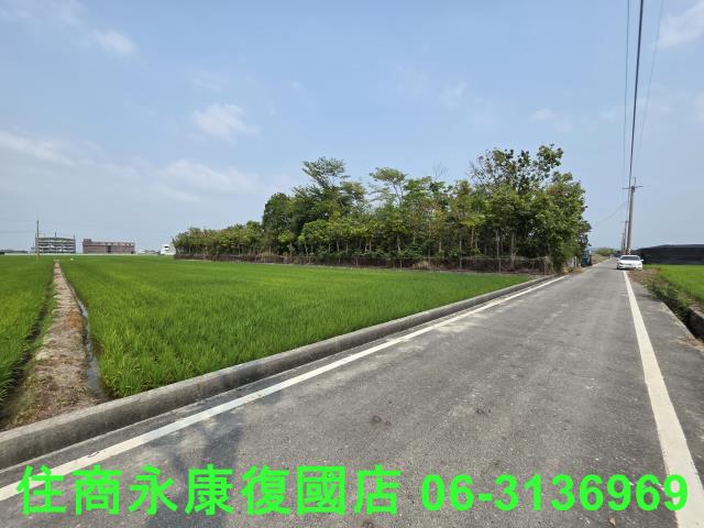 台南六甲農地-6