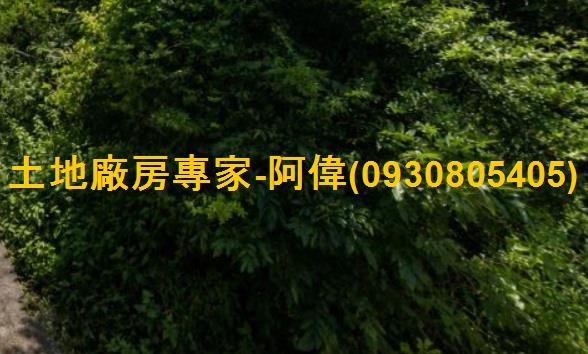 恆春農地-1