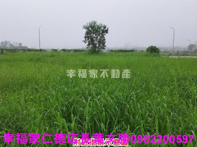 善化建地-15