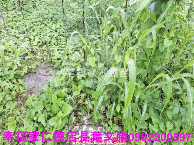 善化建地-5