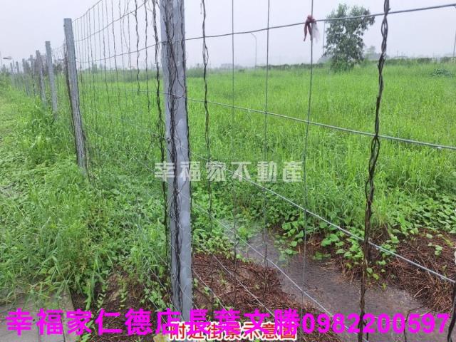 善化建地-9