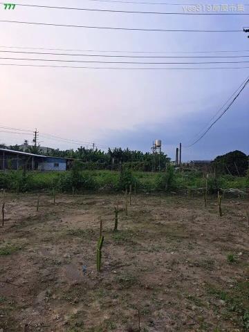 大樹農地-2