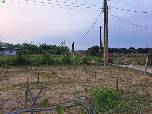 大樹農地-3