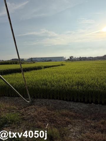 官田住宅地-5