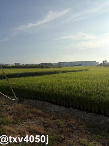 官田住宅地-6