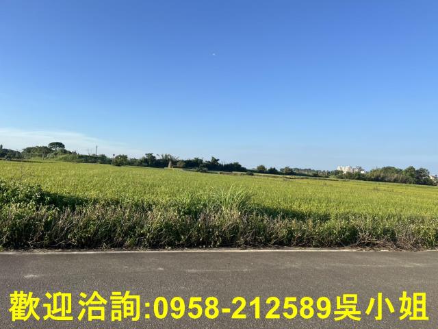 湖口農地-1
