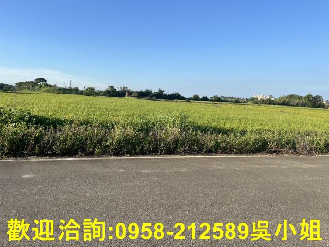 湖口農地-2