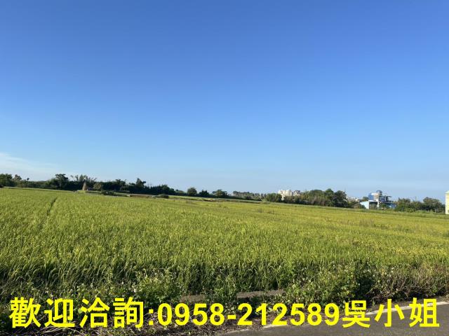 湖口農地-4