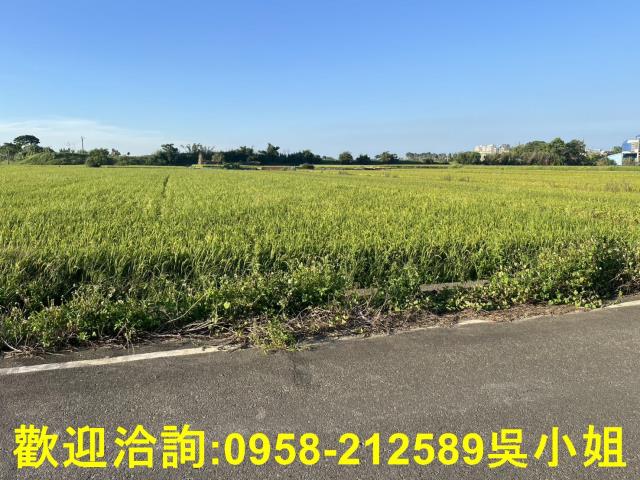 湖口農地-5