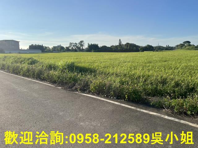 湖口農地-6