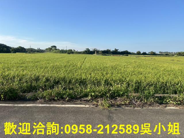 湖口農地-7