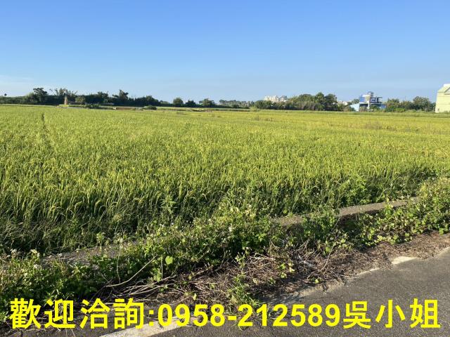 湖口農地-8