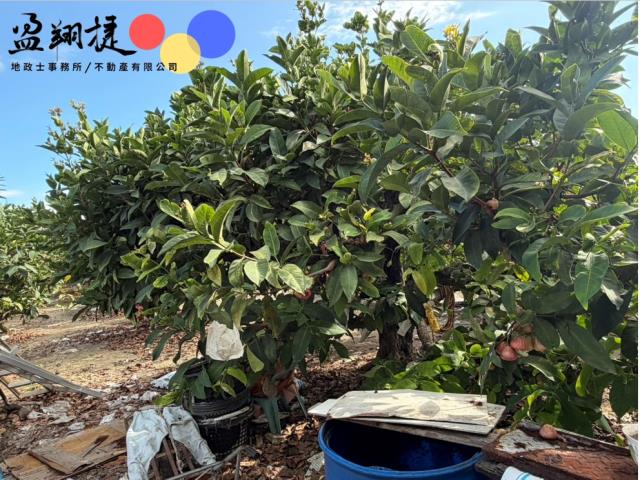 屏東農地-2