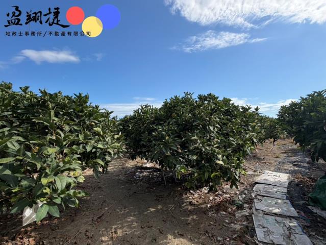 屏東農地-3