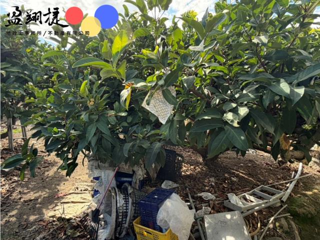 屏東農地-4