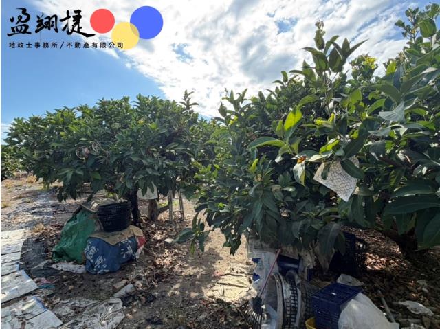 屏東農地-5