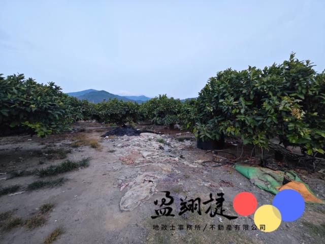 屏東農地-8