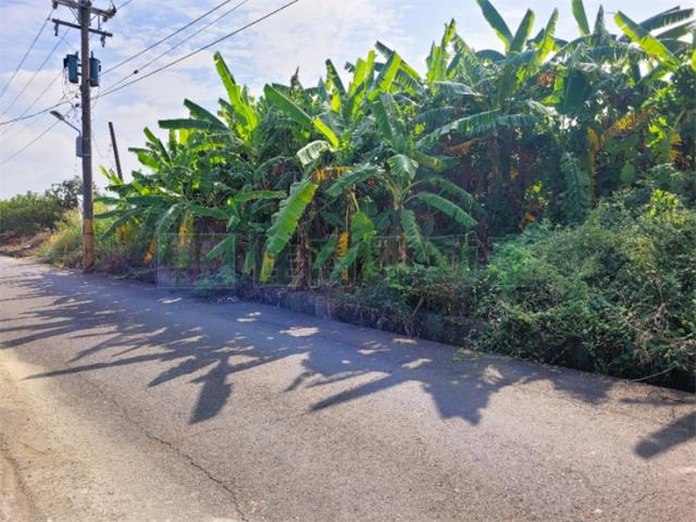 高雄農地-2