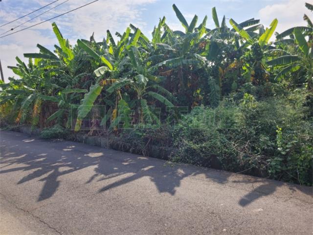 高雄農地-6