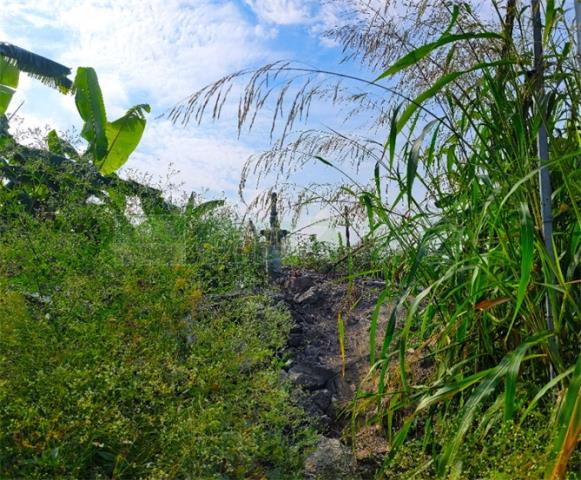 高雄農地-7