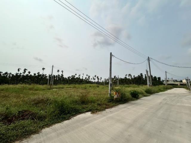 屏東佳冬農地-1