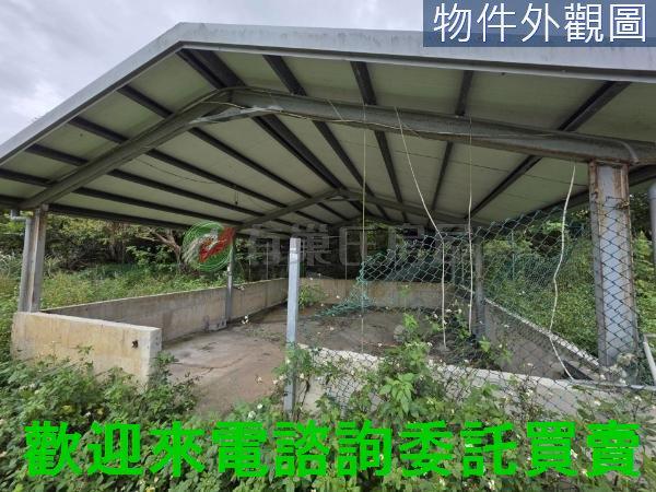 新北三芝農地-11