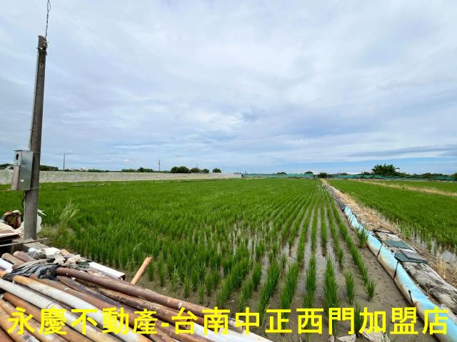 台南柳營農地-3