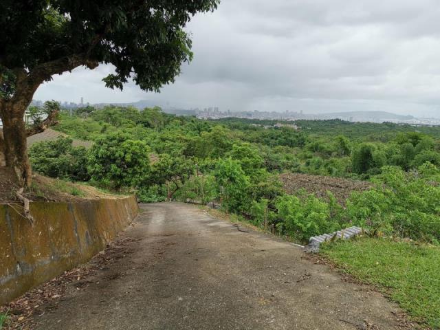 高雄鳥松農地-4