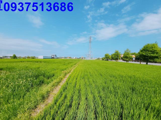 宜蘭宜蘭市農地-10