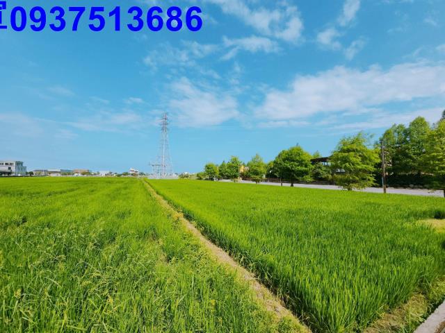 宜蘭宜蘭市農地-14