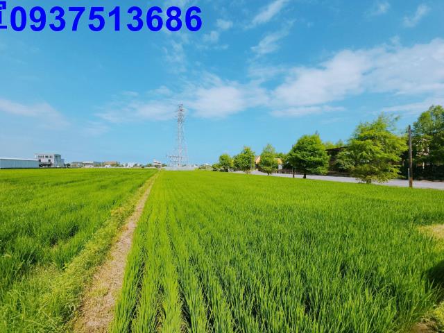 宜蘭宜蘭市農地-4