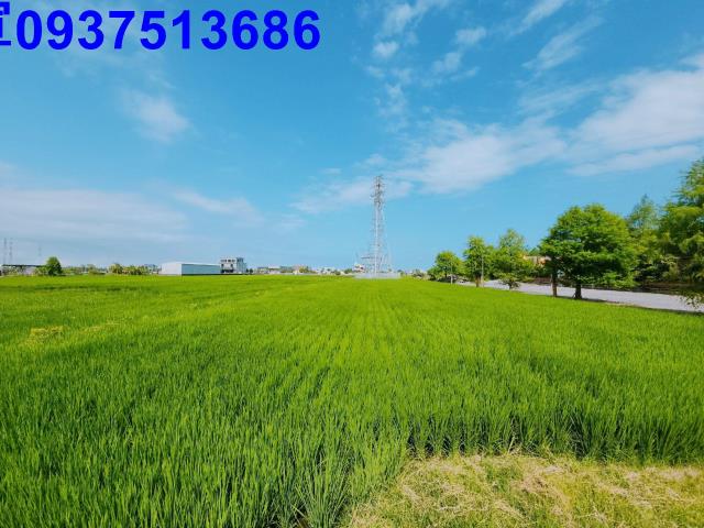 宜蘭宜蘭市農地-5