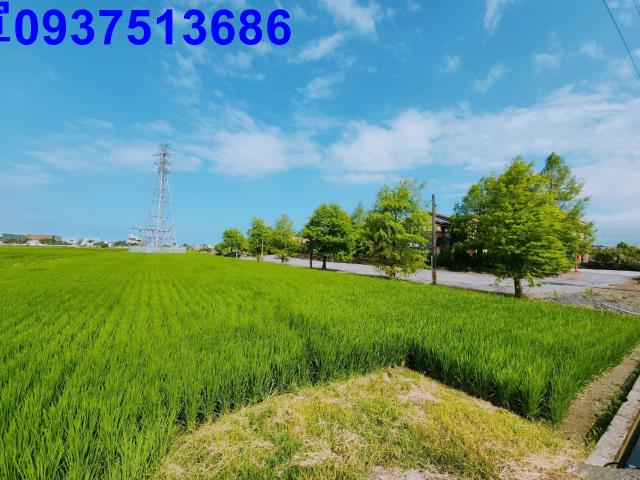 宜蘭宜蘭市農地-6