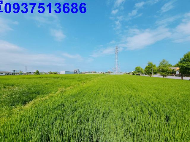 宜蘭宜蘭市農地-7